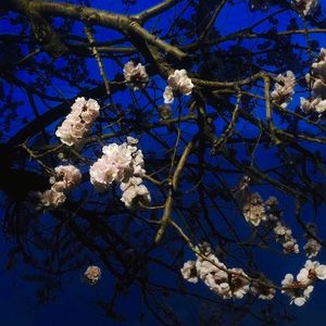 亚洲AV永久无码精品三区在线
